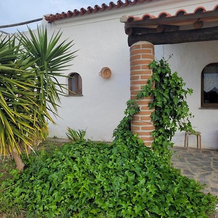 Quinta Da Belavista Villa Reguengos de Monsaraz Luaran gambar